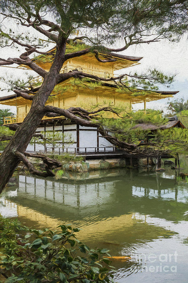 Kinkaku-ji,the Golden Pavilion Photograph by Eva Lechner