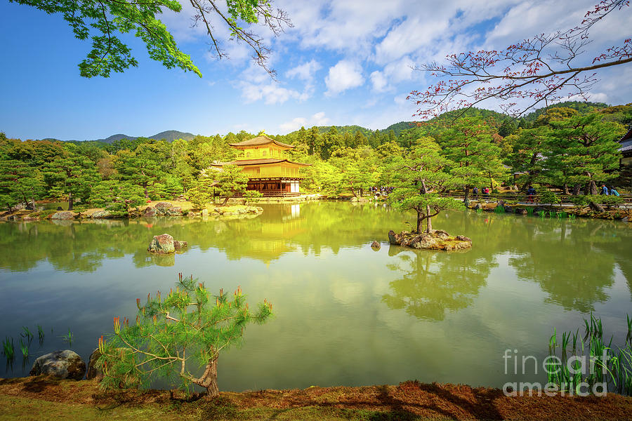 Kinkakuji Golden Pavilion Photograph by Benny Marty