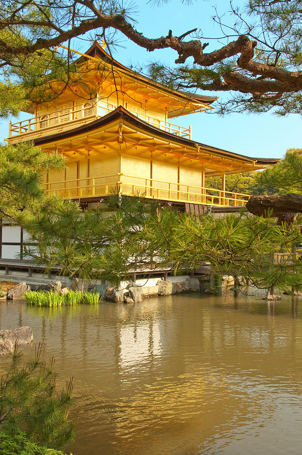 Kinkakuji Golden Pavilion Kyoto Photograph by Sebastian Musial