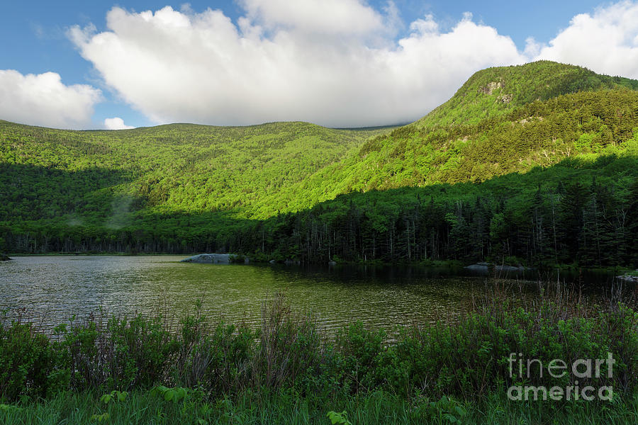 Nature Photograph - Kinsman Notch - White Mountains New Hampshire by Erin Paul Donovan