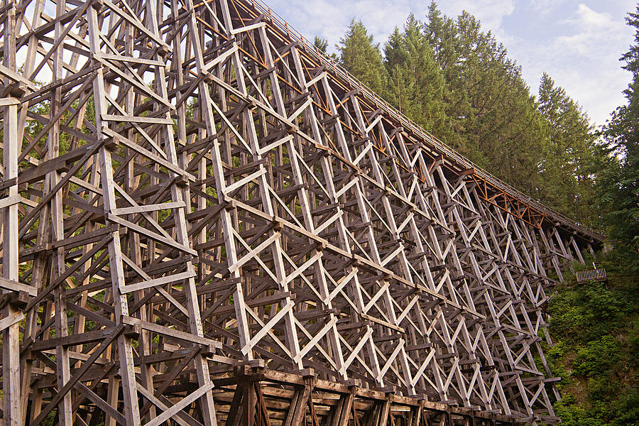 Kinsol Trestle 1 Photograph by Peter J Sucy