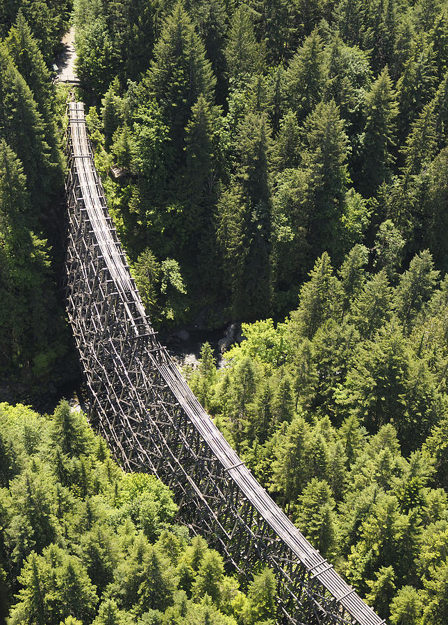 Kinsol Trestle Aerial Photograph by Kevin Oke