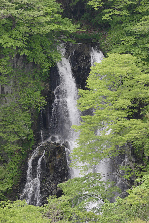 Kirifuri Waterfall Photograph by Masami Iida