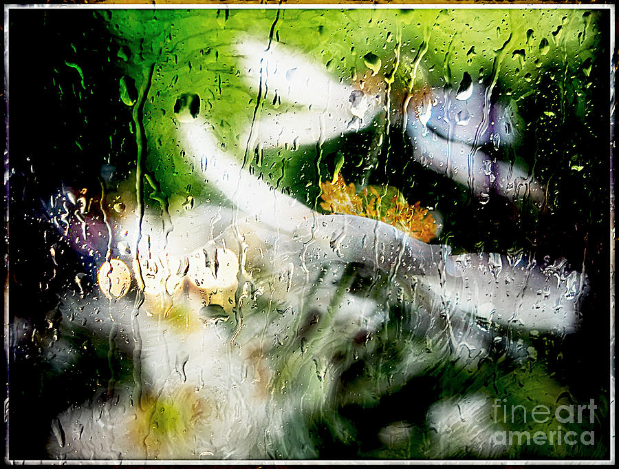 Kissed by rain.. Photograph by Jolanta Anna Karolska