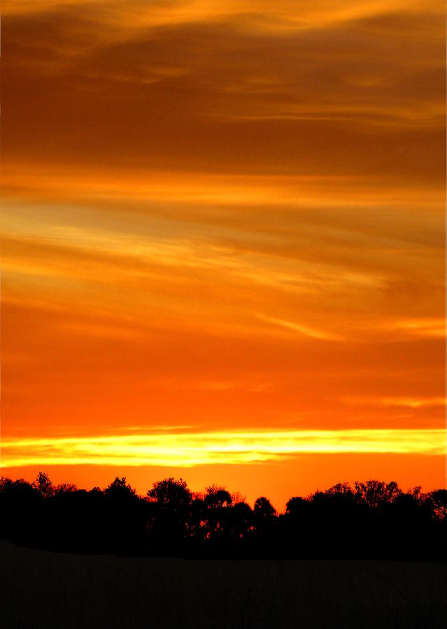 Kissimmee Prairie Sunset 000  Photograph by Christopher Mercer