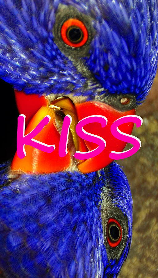 Kissing Birds spca Photograph by David Lee Thompson