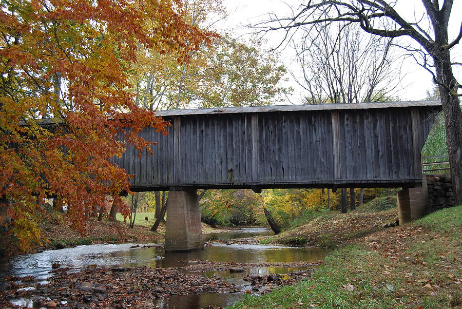 Kissing Bridge at fall Photograph by Eric Liller