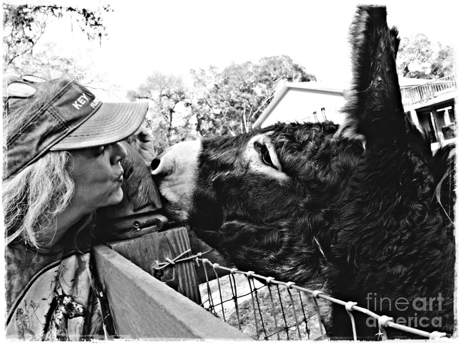 Donkey Photograph - Kissing Cleopatra by Sarah Loft
