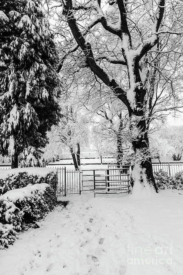 Kissing Gate In The Snow Photograph by Steve Purnell