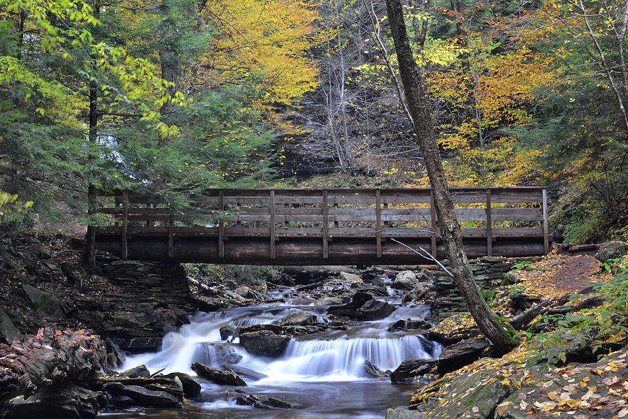 Kitchen Creek Bridge Photograph By Philip LeVee Fine Art America   Kitchen Creek Bridge Philip Levee 