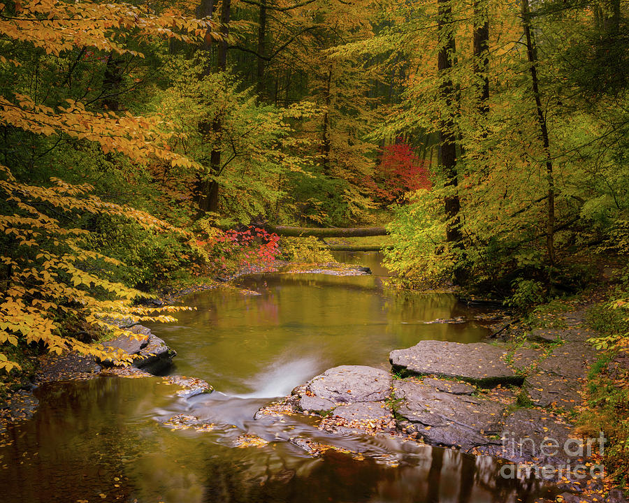 Kitchen Creek, Ricketts Glen Photograph by Jerry Fornarotto