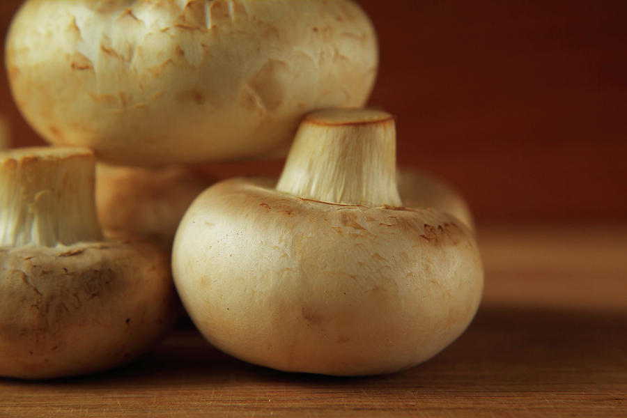 Kitchen Geometry - Mushrooms Photograph