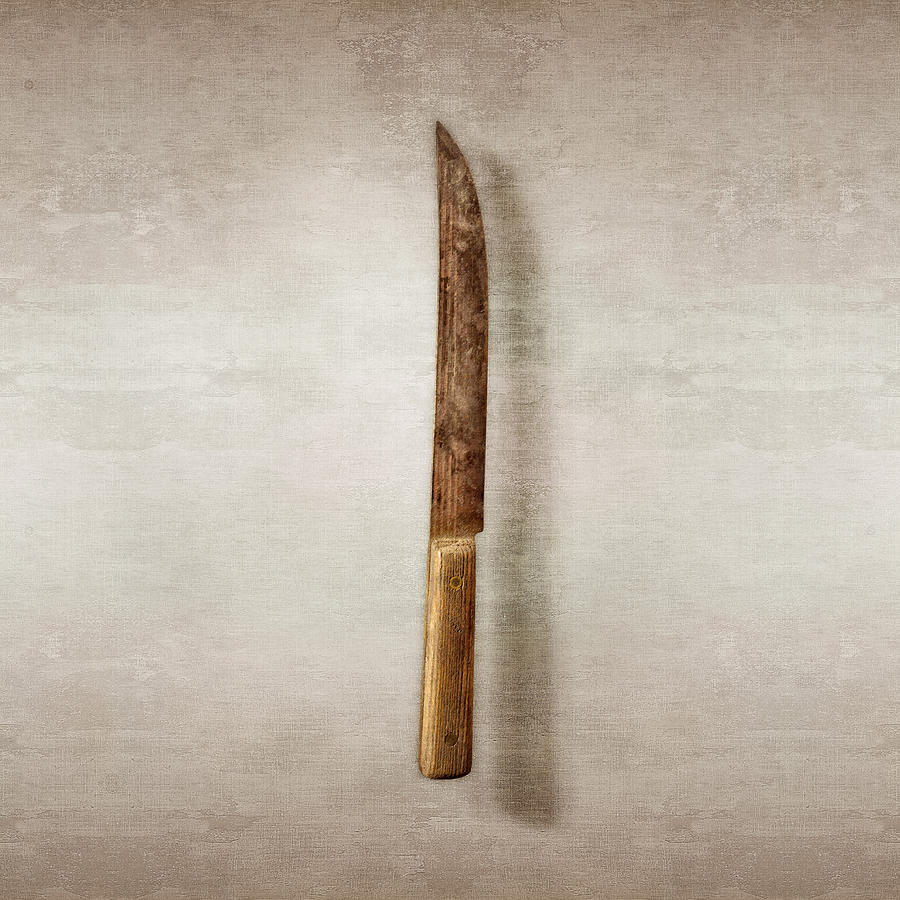 Tool Photograph - Kitchen Knife by YoPedro