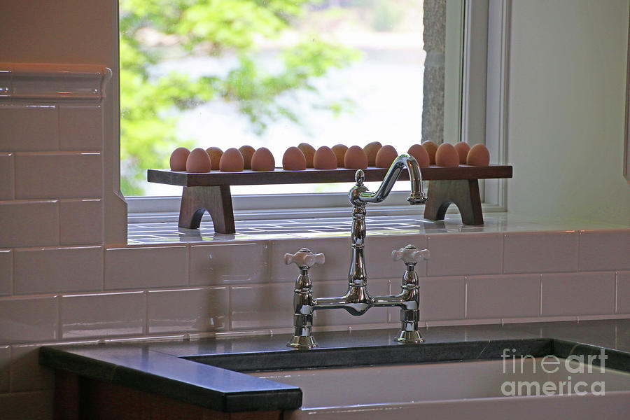 Kitchen Sink and Eggs  6747 Photograph by Jack Schultz