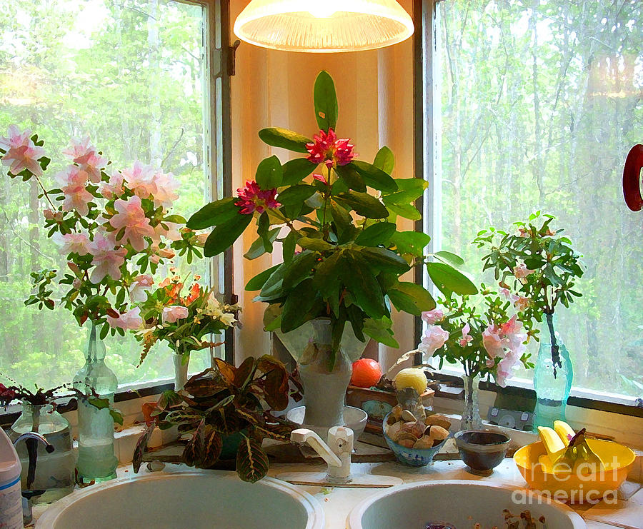 Kitchen Sink Photograph by Beebe Barksdale-Bruner Kitchen Sink Photograph by Beebe Barksdale-Bruner