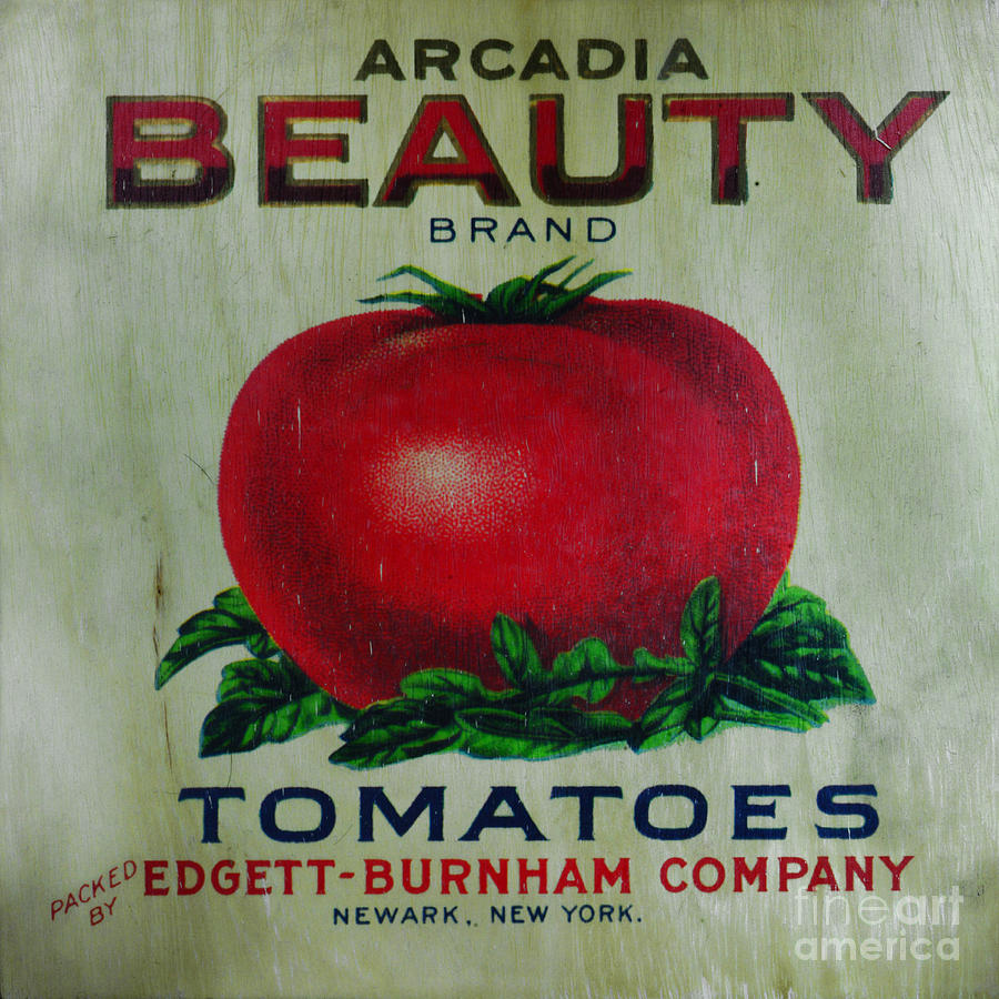 Tomato Photograph - Kitchen - Vintage Tomato Sign by Paul Ward