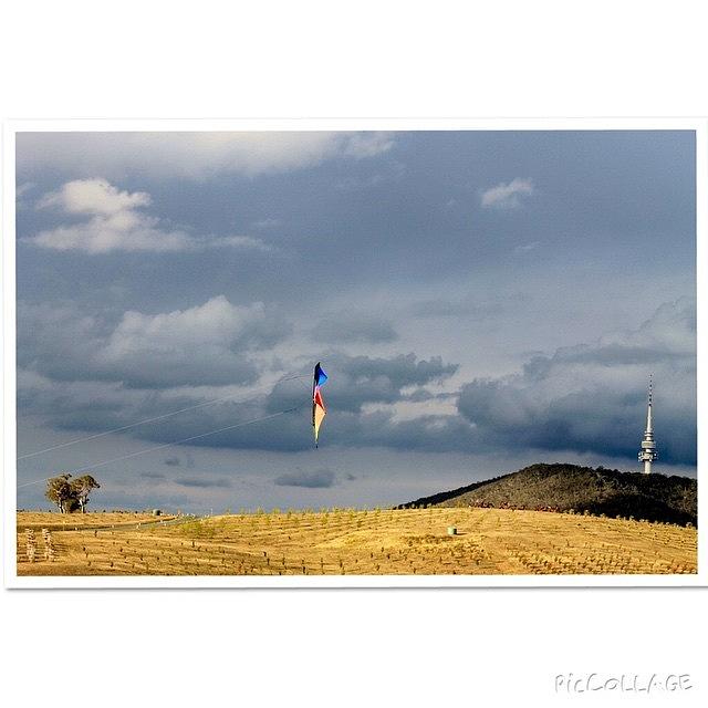 Fall Photograph - Kite Flying At The Arboretum, Canberra by Anthony Croke