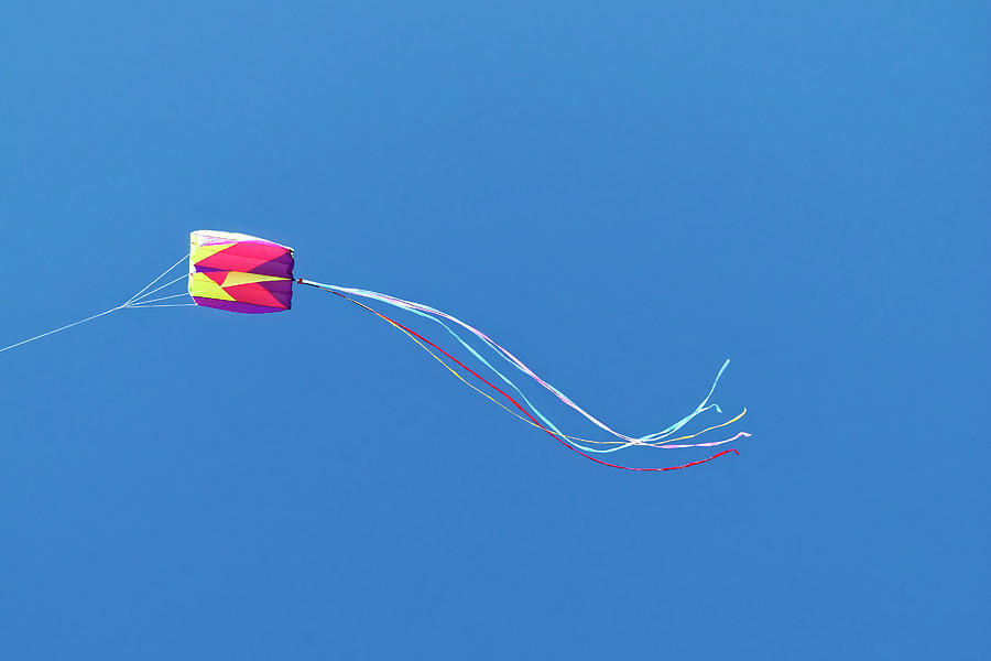 Kite Flying High Photograph by Sally Weigand