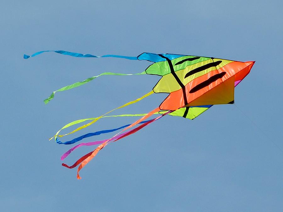 Kite in Flight Photograph by Kim Blackley - Fine Art America