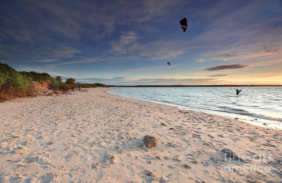 Kite Surfers At Sunset On Silver Beach Botany Bay Australia Photograph