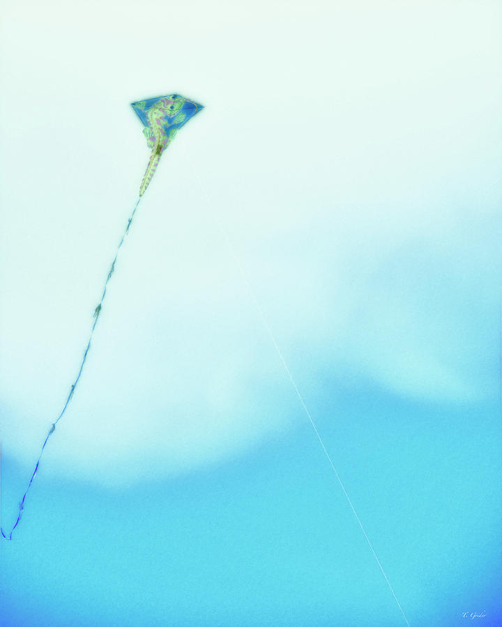 Kite Photograph by Tony Grider
