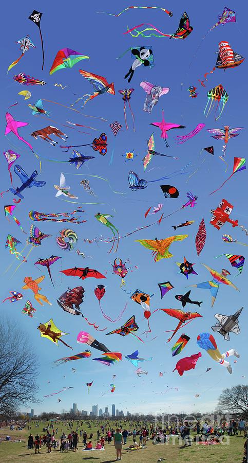 Austin Photograph - Kite Variety Chart at the Zilker Kite Festival - Austin - Texas by Bruce Lemons