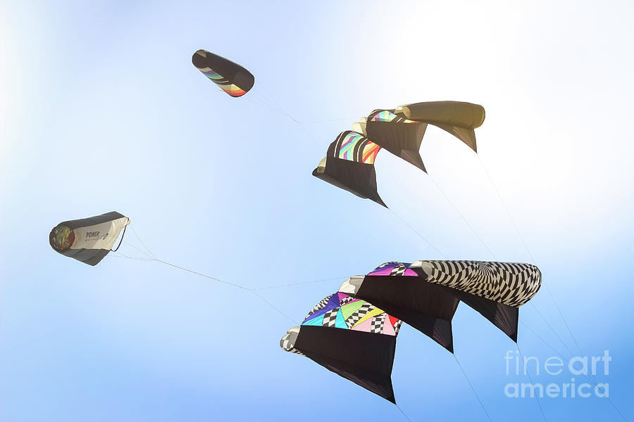 Kites  Photograph by Colleen Kammerer