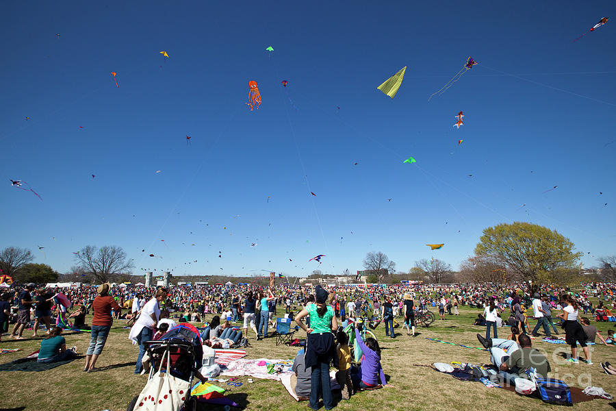 Austin Photograph - Kites fill the sky above Zilker Park at the 84th Zilker Park Kite Festival in downtown Austin, Texas by Dan Herron