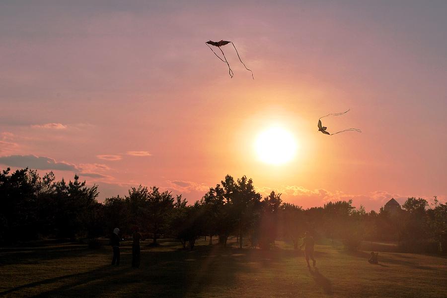 Tree Photograph - Kites Flying in Park by Matt Quest