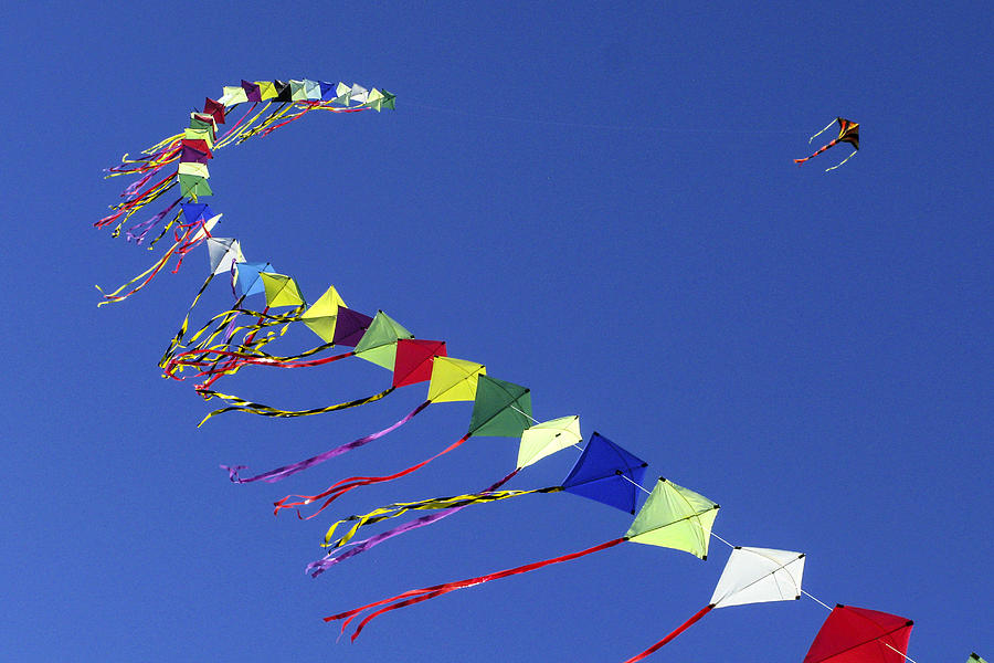 Kites In Colors And Formation Photograph