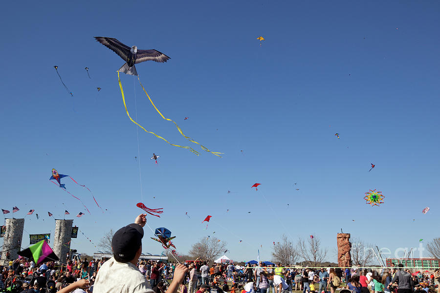 Kites sway in the breeze at the Zilker Park Kite Festival in Austin