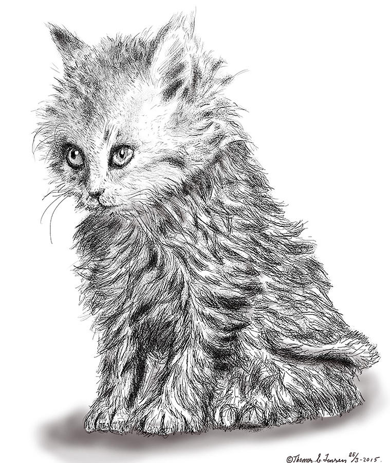 Kitten #1 Digital Art by ThomasE Jensen