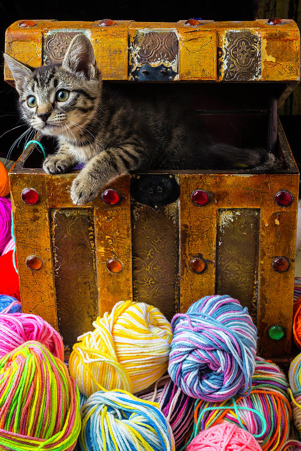 Cat Photograph - Kitten Hiding In Treasure Box by Garry Gay