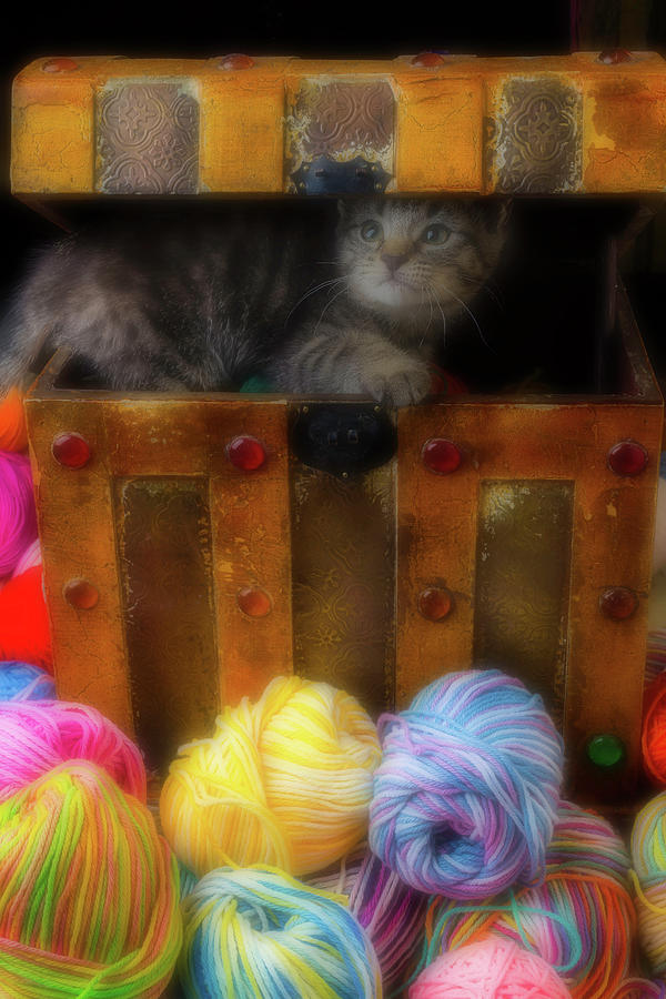 Kitten In A box With Yarn Photograph by Garry Gay