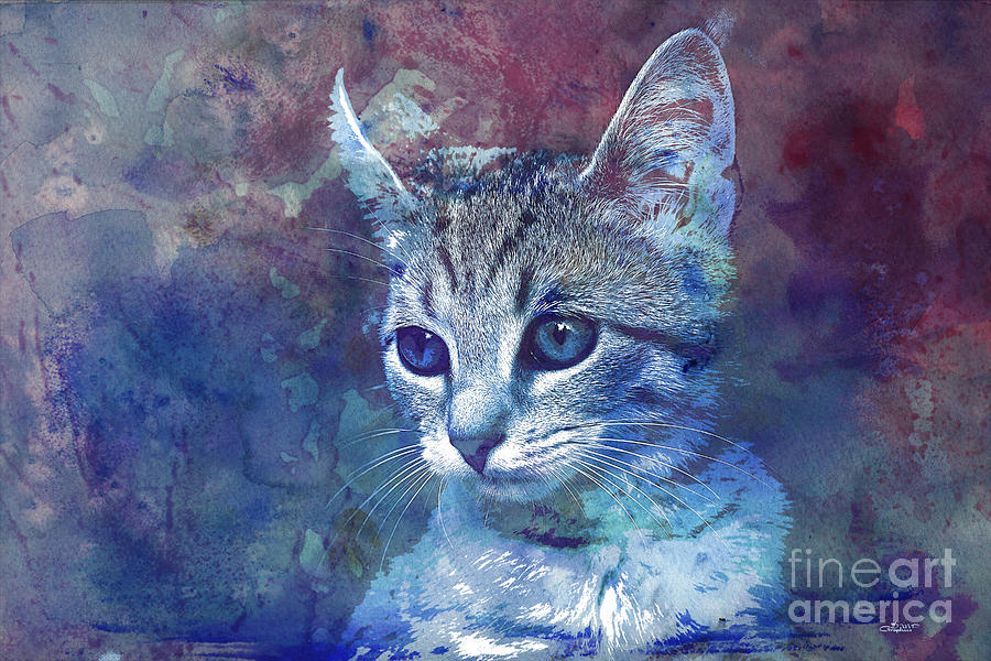 Kitten Digital Art by Jutta Maria Pusl
