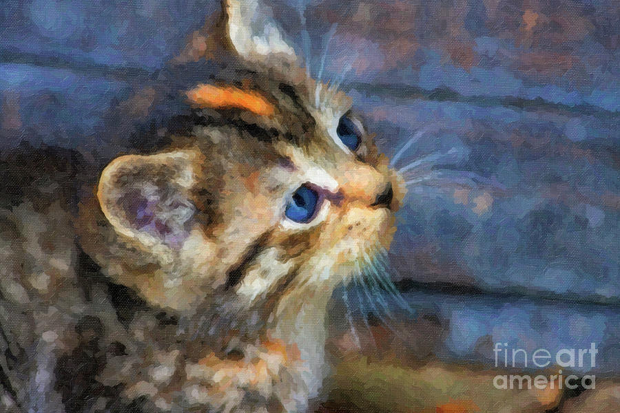 Kitten Watercolor Digital Art by Jill Lang