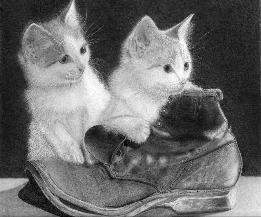 Kittens in a boot Drawing by Alexandra Riley