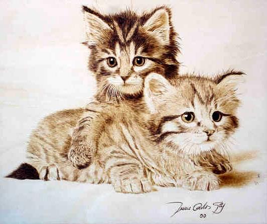 Kittens Pyrography by Juan Carlos Gonzalez - Fine Art America