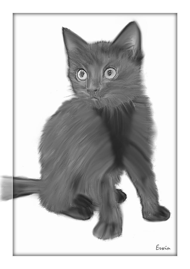 Cat Drawing - Kitty 2 by Erwin Verhoeven