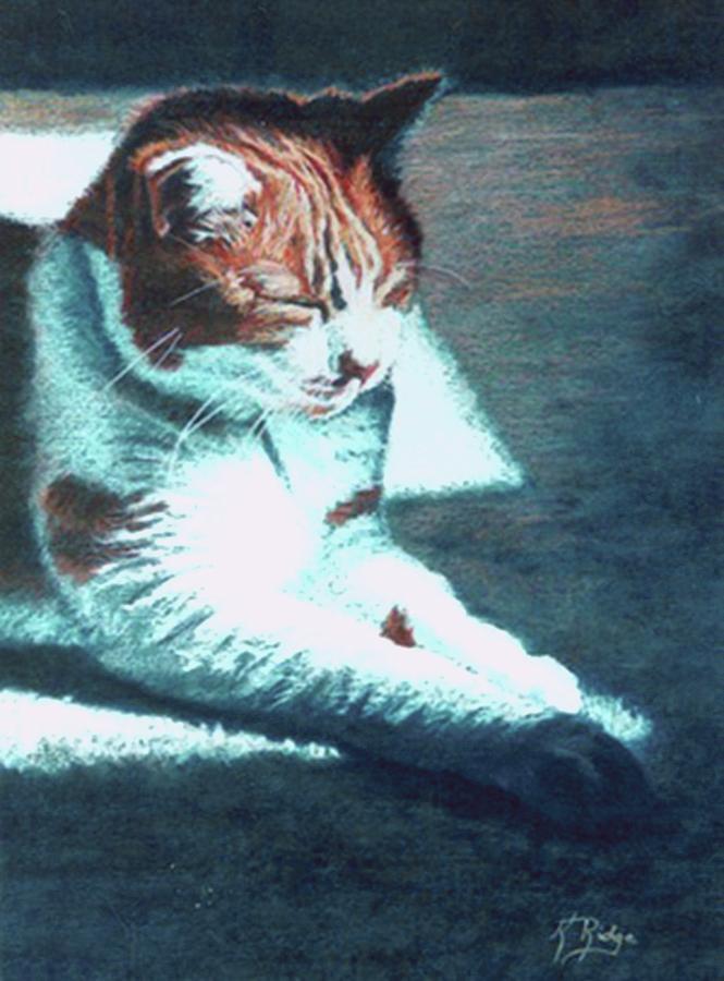 Kitty Bliss III Painting by Kay Ridge