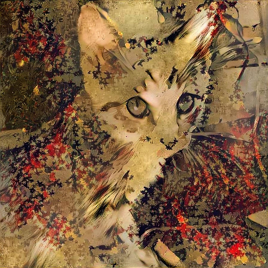 Kitty Digital Art by Bruce Rolff