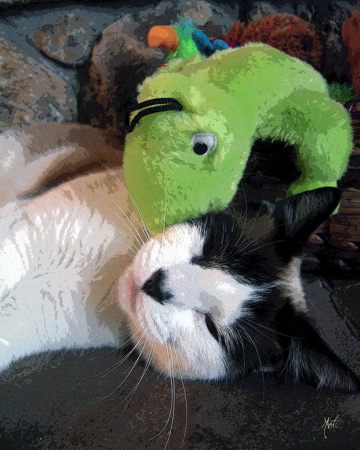 Kitty Cat And Gecko Photograph