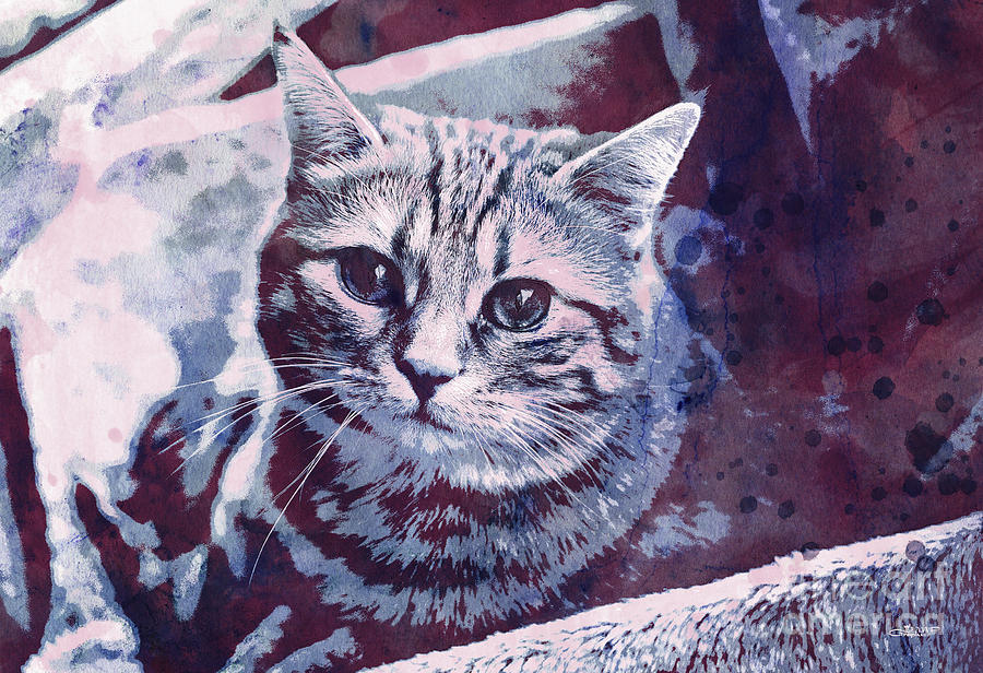 Kitty Cat Digital Art by Jutta Maria Pusl