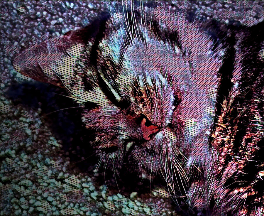 Kitty Cat Shyann Digital Art by Artful Oasis