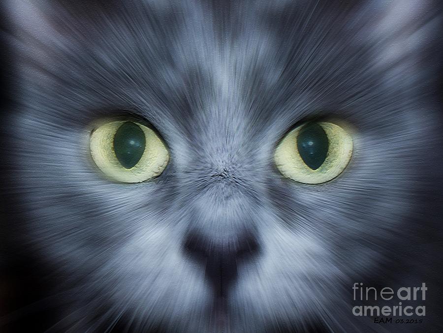 Kitty Face Digital Art by Elizabeth McTaggart