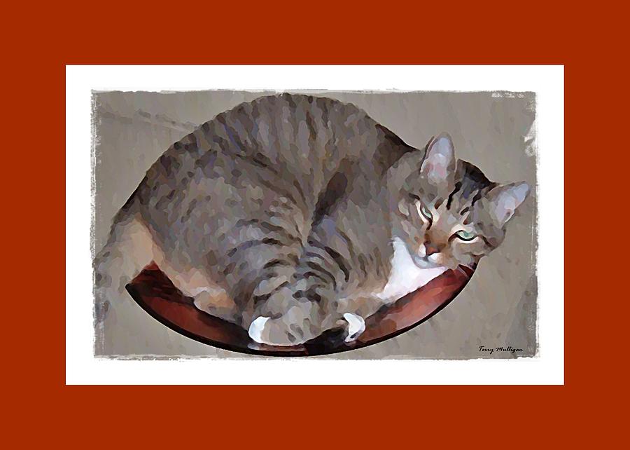 Kitty in a Bowl Digital Art by Terry Mulligan