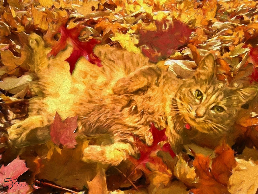 Fall Photograph - Kitty In Fall Leaves by Theresa Campbell