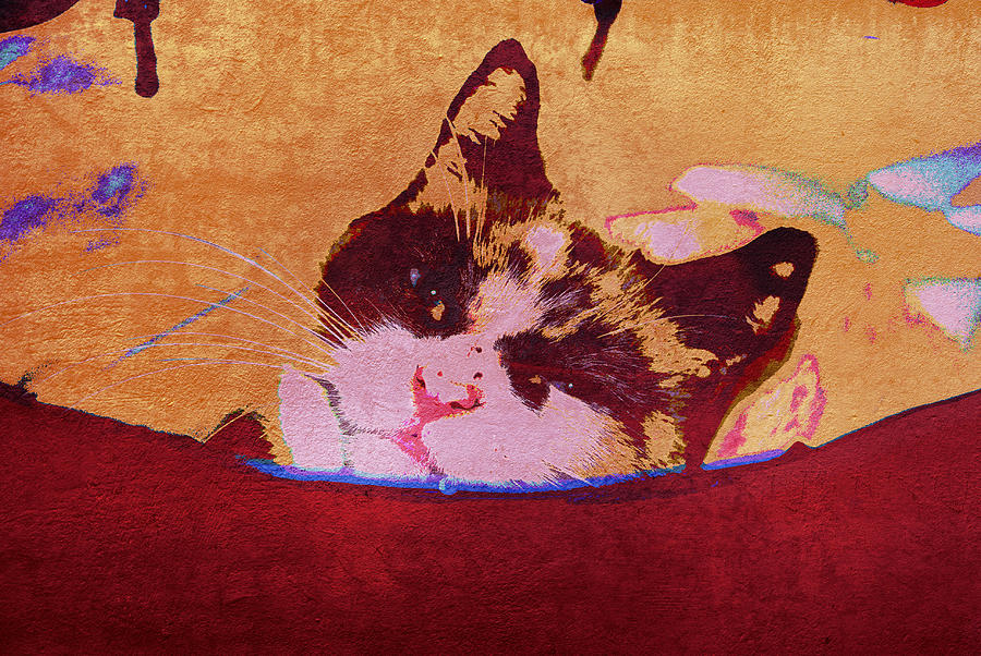 Kitty In The Bag Digital Art