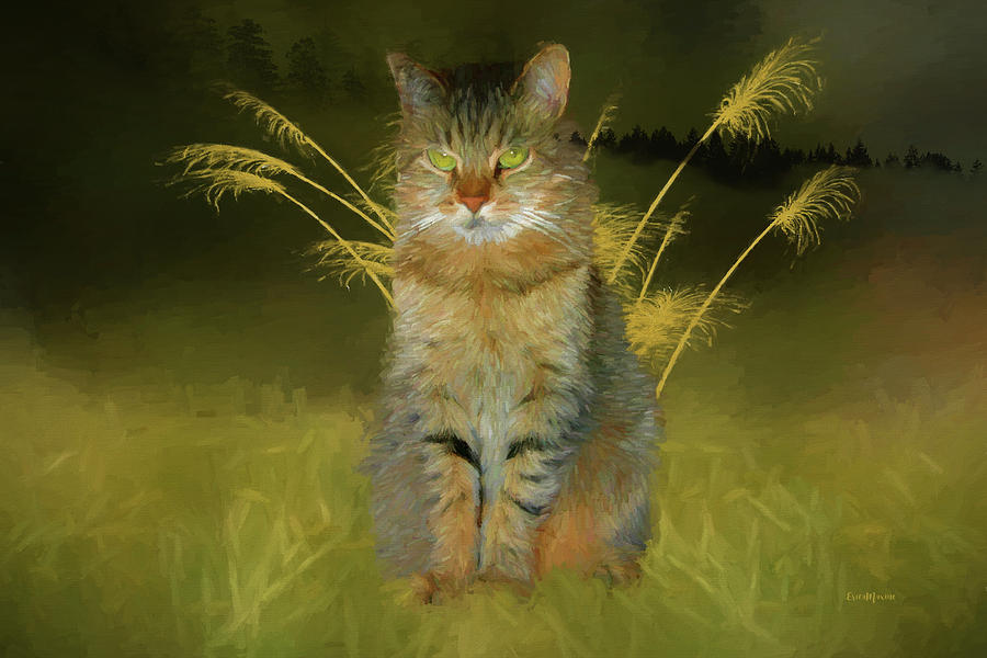 Kitty in the Grass - Painting Photograph by Ericamaxine Price - Fine ...