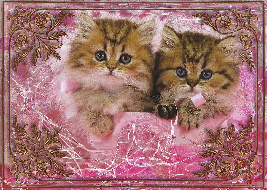 Kitty Love Digital Art by Mario Carini - Fine Art America